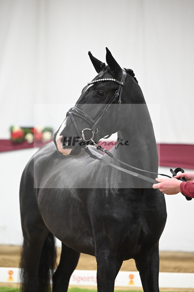 Kat-Nr. 50 Energy x Sezuan_Wilhelm u. Marvin Klausing GbR_47251854 | hf-fotografie - Realisiert mit Pictrs.com