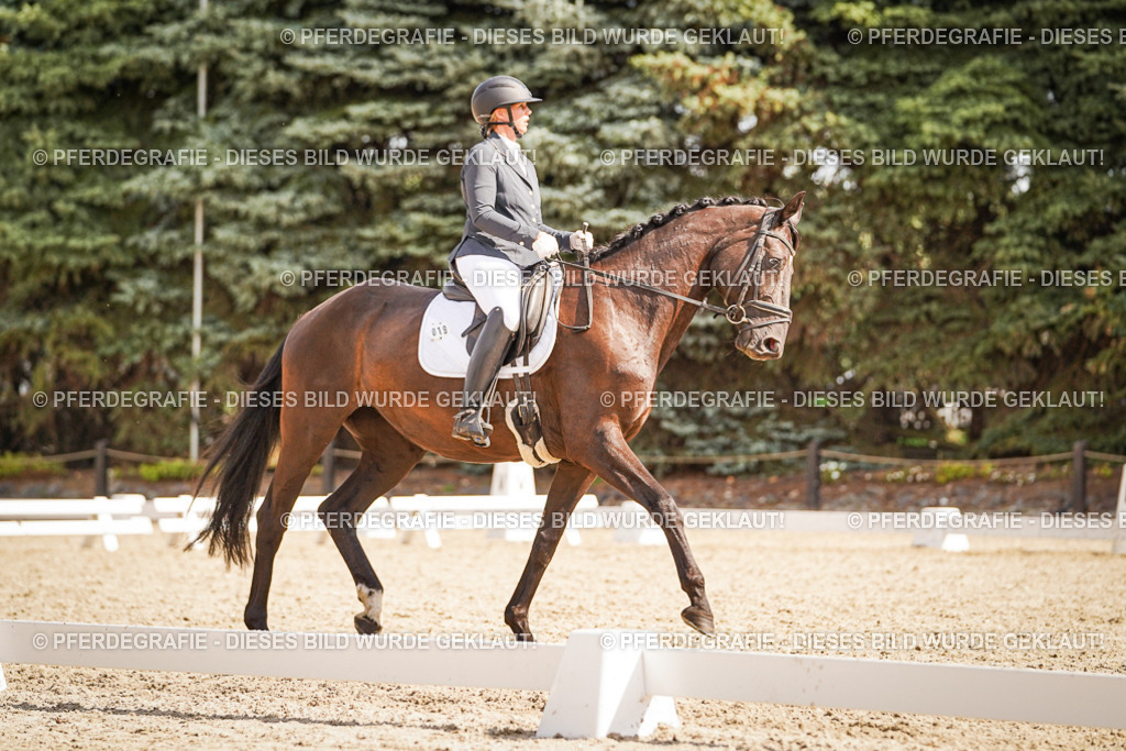 DSC01131 | Pferdegrafie