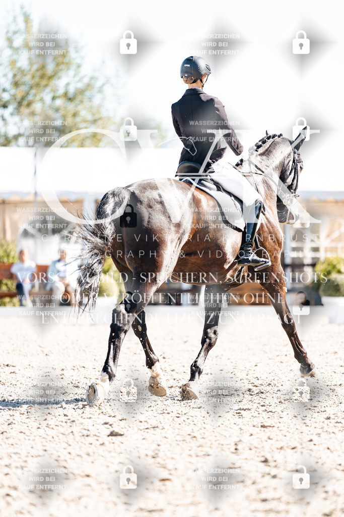 CK908892 | Turnierfotografie Pferdefotografie Trier Rheinland-Pfalz Pferdesport Reitsport Tierfotografie Sportfotografie Pferdevideo Pferdevideografie Equestrianvideography equestrianphotography  - Realisiert mit Pictrs.com