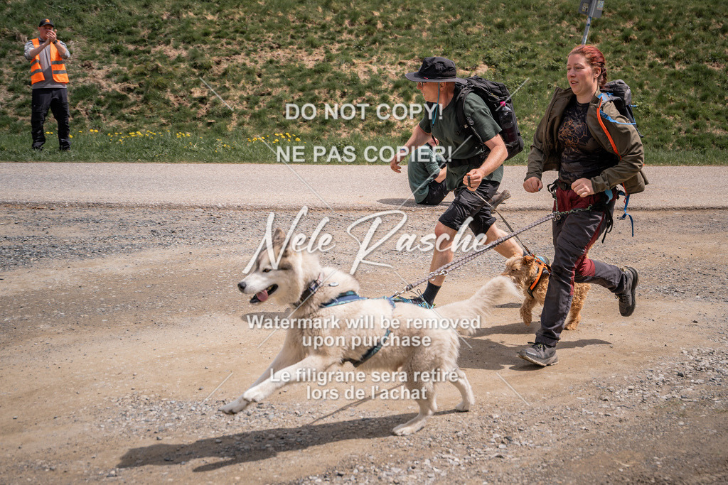 nelerasche_TheGame2026_SoZieleinlauf_104 | nelerasche
