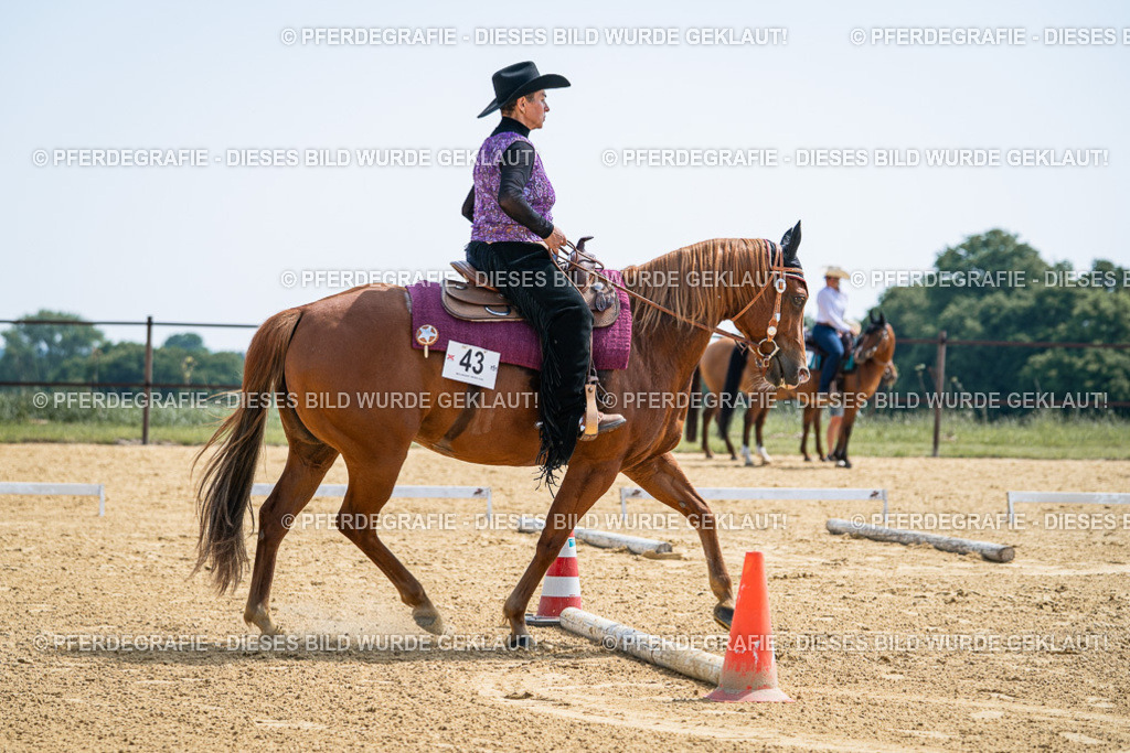 DSC00281 | Pferdegrafie