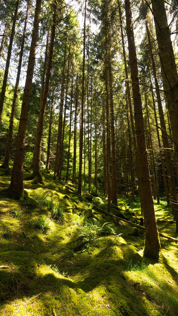 DSC07259 | fotografie33