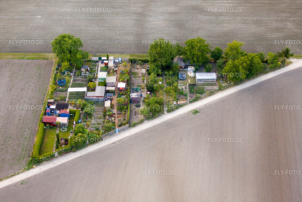 Parzellen einer Kleingartenanlage Eppstein (Pfalz) | Luftbild: Parzellen einer Kleingartenanlage Eppstein (Pfalz) im Ortsteil Eppstein in Frankenthal im Bundesland Rheinland-Pfalz in Deutschland. Foto: IMG_69037.jpg vom 24.06.2014 durch Werner Riehm/FLY-FOTO.de - Realisiert mit Pictrs.com
