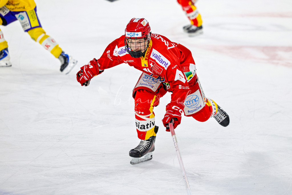 EHCB vs HCD-0621 | Sportbilder, Sportfotograf, Hochzeits- und Eventfotografin, Flugshows, Portraits und Tiershooting, Aviation, Downhill, Nationalleague, Swissleague, International