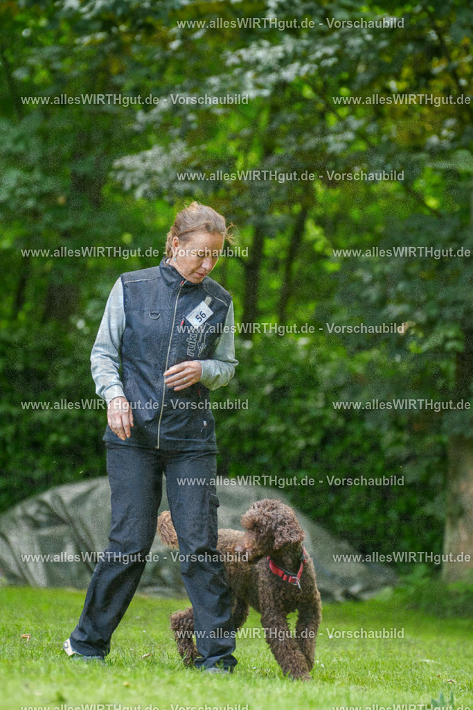 @allesWIRTHgut_Tierfotografie - www.allesWIRTHgut.de - 7R501055 | Professionelle Tierfotografie in Mönchengladbach von Daniel Wirth (allesWIRTHgut). Liebevolle & natürliche Bilder von Hunden & Katzen für unvergessliche Erinnerungen.