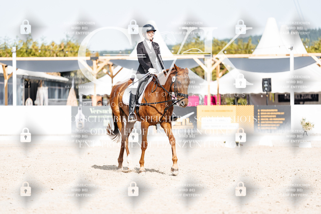 CK905452 | Turnierfotografie Pferdefotografie Trier Rheinland-Pfalz Pferdesport Reitsport Tierfotografie Sportfotografie Pferdevideo Pferdevideografie Equestrianvideography equestrianphotography  - Realisiert mit Pictrs.com