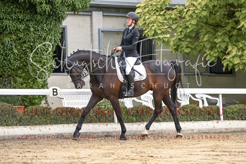 Schugtsche-Aluta25-42.EDressur -86 | Schugtsche Fotografie - Realisiert mit Pictrs.com