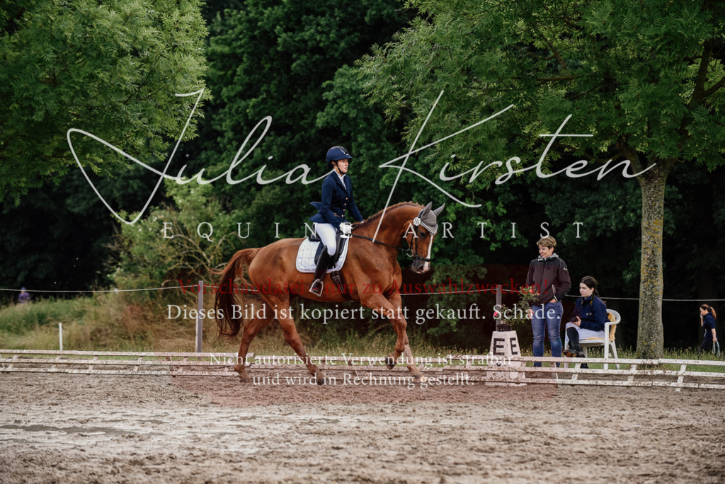 DSC_9942 | Pferde- und Turnierfotografie in Westsachsen. Pferdeportraits, Auftragszeichnungen und intuitive Kunst.