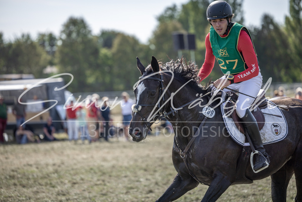 20250907-_3LI2852 | Tierfotografie Pferde, Hunde, Katzen, Haustiere.
Turnierfotografie Reitturniere, Reiten, Springreiten, Dressur in Hanau, dem Main-Kinzig-Kreis und dem Rhein-Main- Gebiet um Frankfurt