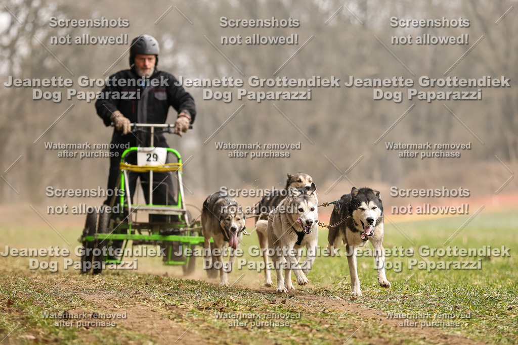 Dog Paparazzi - Plate 2026-101 | Dog Paparazzi Jeanette Grottendiek Fotografie & Videografie - Realisiert mit Pictrs.com