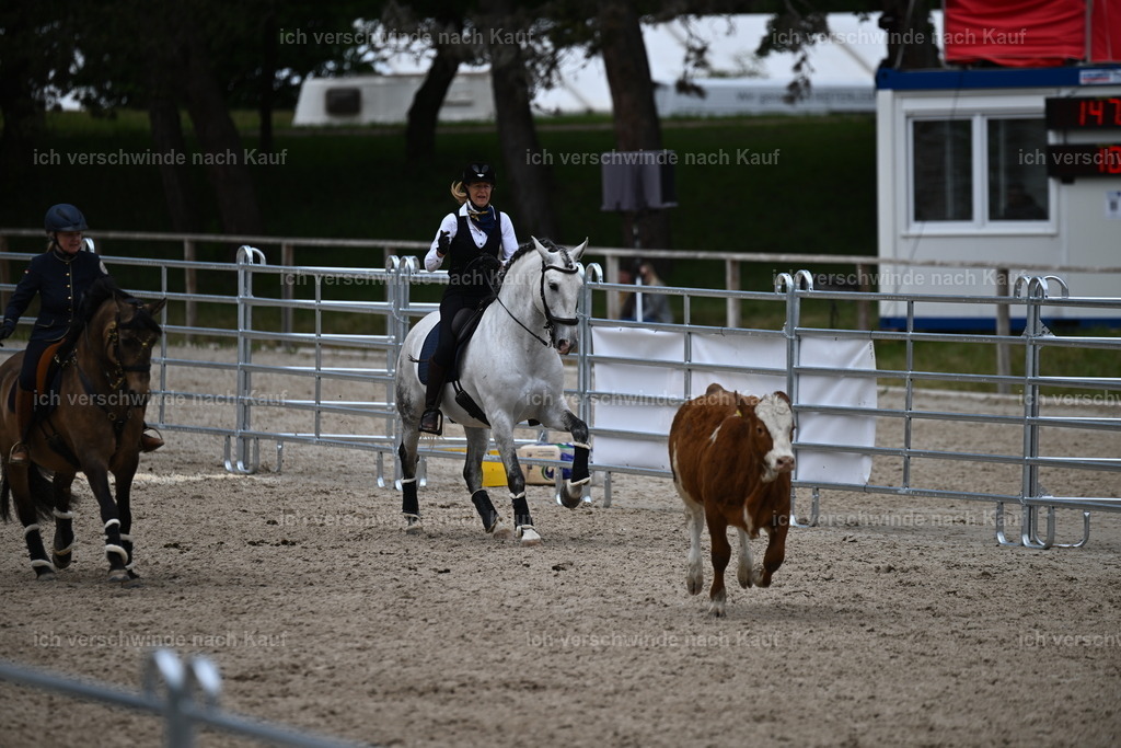PI26_COW_Sara Landvogt226_7614.JPG | working equitationturnier fotograf videograf stoibphotography marixx film working equitation deutschland reitsport turnierfotografie eventfotografie equestrian events