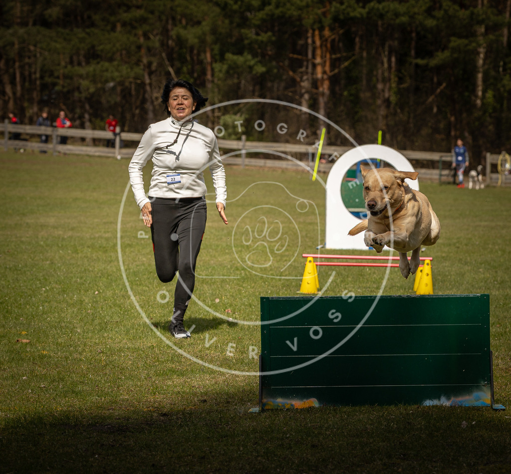 Pfotenfotografie_DV3A5370 | Hundefotografie, Tierfotograf, Pfotenfotografie, Fotoshooting Hund, Hunde Portrait, Hundesport, Hundeportraits, Heideshooting, Hunde, Sportfotograf, Hundefotograf, Turnierhundsport, THS,  - Realisiert mit Pictrs.com