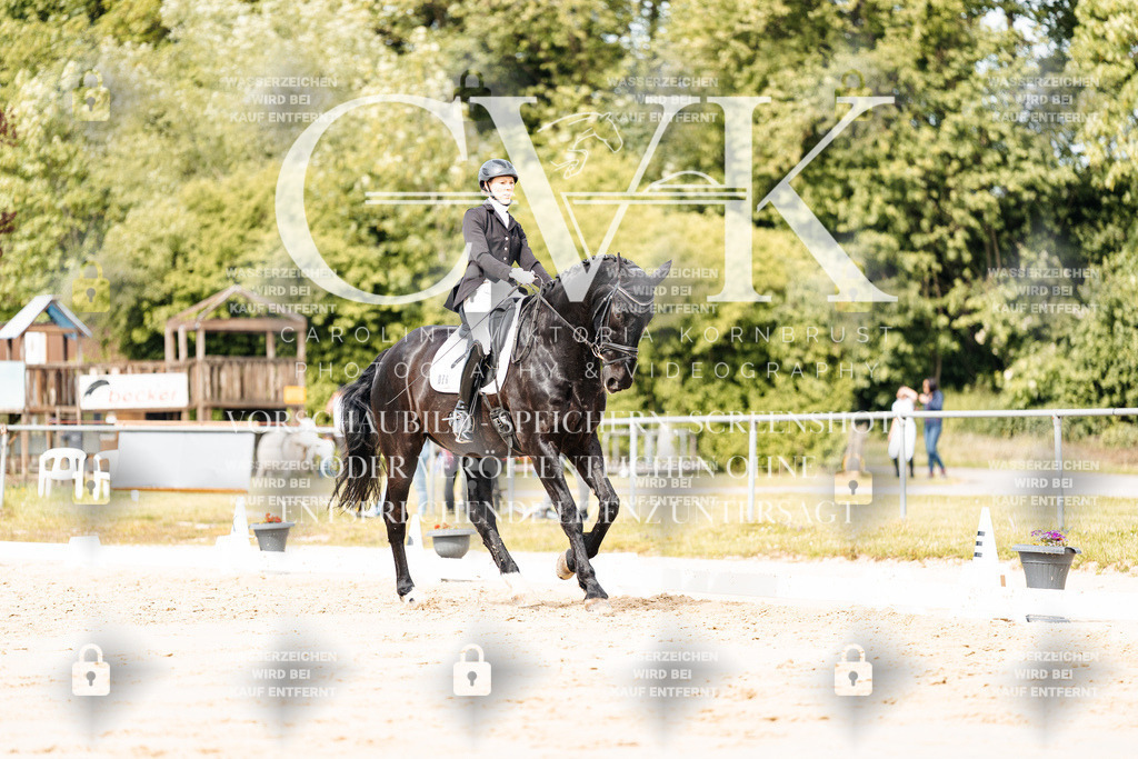 CK901053 | Turnierfotografie Pferdefotografie Trier Rheinland-Pfalz Pferdesport Reitsport Tierfotografie Sportfotografie Pferdevideo Pferdevideografie Equestrianvideography equestrianphotography  - Realisiert mit Pictrs.com
