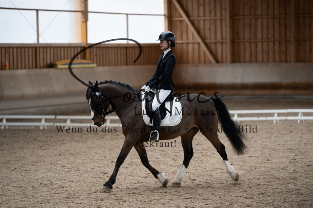 A7V09672 | Pferdefotograf