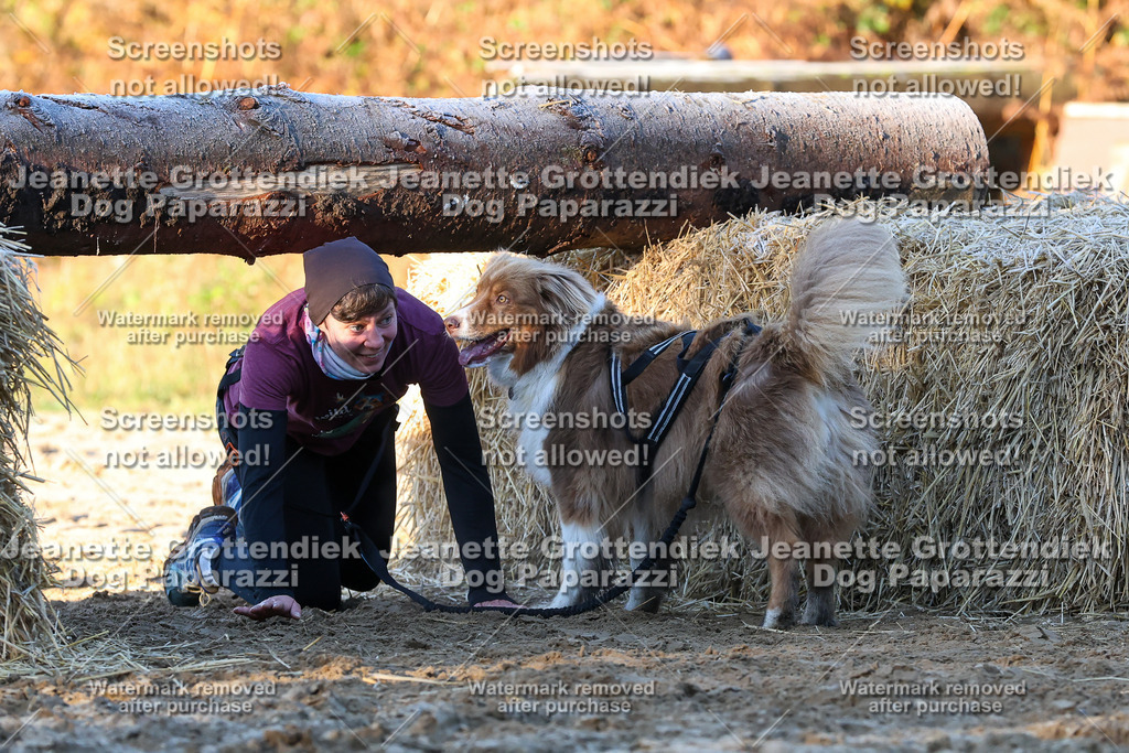 Dog Paparazzi - Strongdog 10-25-678 | Dog Paparazzi Jeanette Grottendiek Fotografie & Videografie - Realisiert mit Pictrs.com