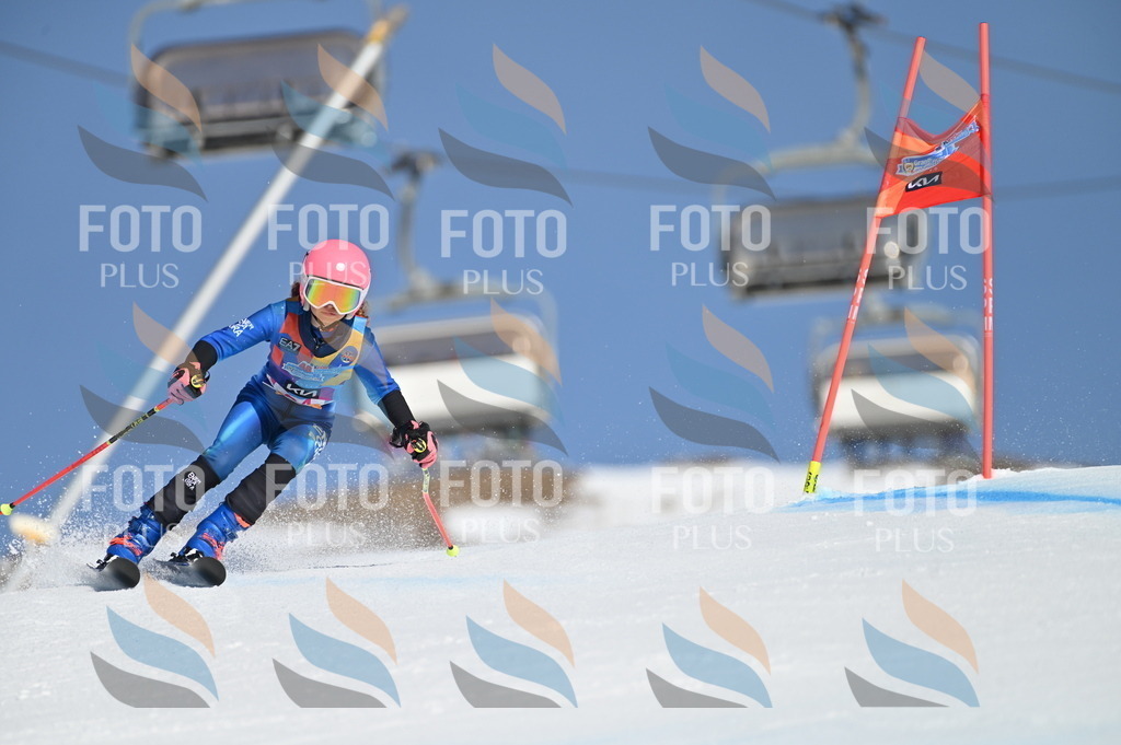 BGV_8215 | holidayphoto