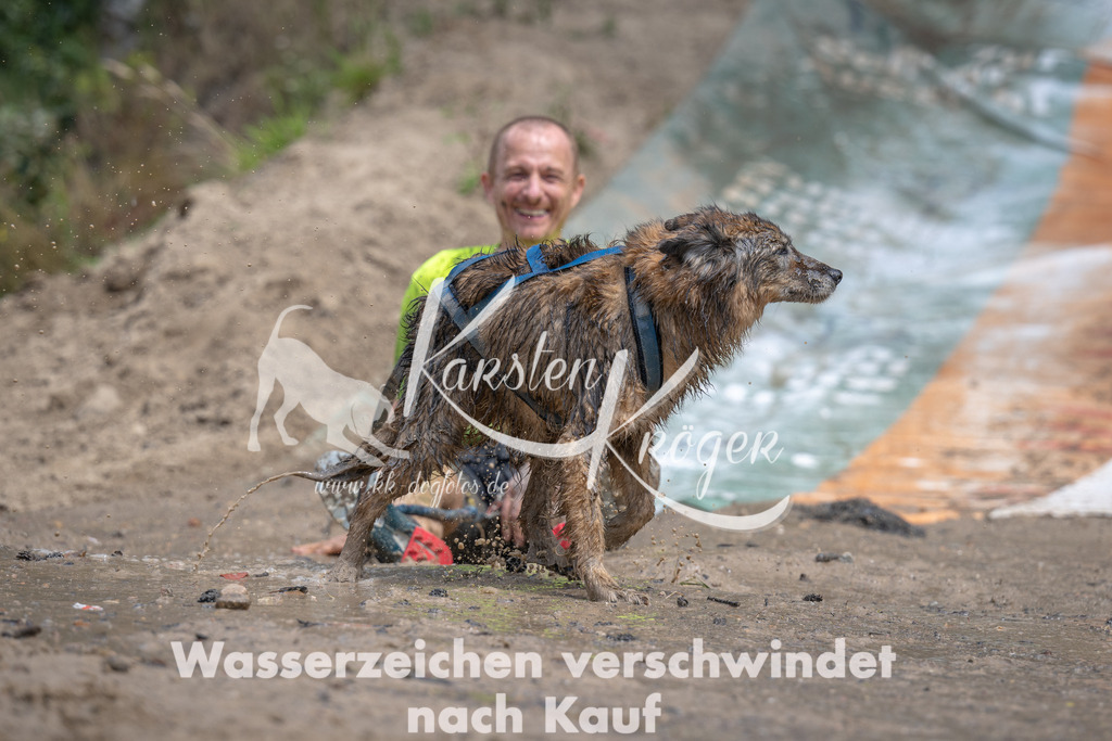 1253_ZZ94678 | kk-dogfotos