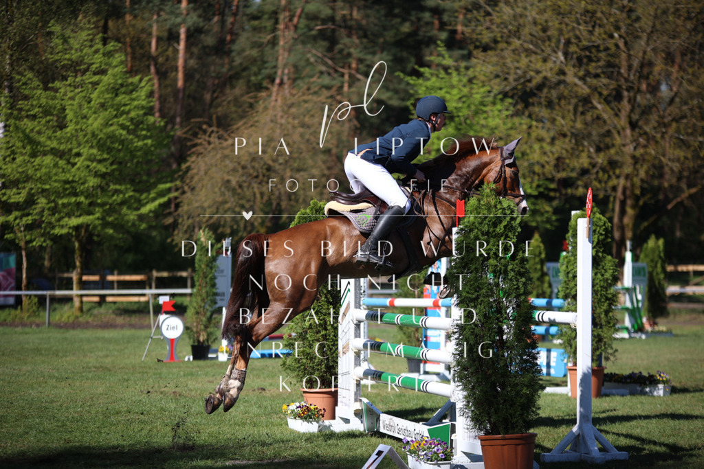 IMGT0448 | pl-fotografie