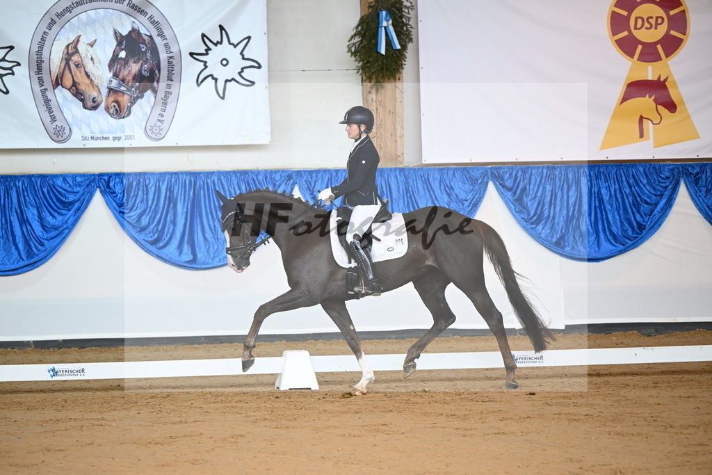 Rotheimer_Danse_avec_moi_4_10230185 | hf-fotografie - Realizzato con Pictrs.com