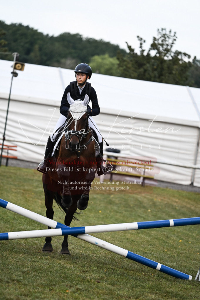 DSC_5649 | Pferde- und Turnierfotografie in Westsachsen. Pferdeportraits, Auftragszeichnungen und intuitive Kunst.