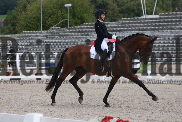 Marbach_2023_Prfg.Nr.11_Dressur_Kl.S_Amateure_Nadine Karolin Kurz_Jousephine (2) | Alle Fotos der Reiterjournal Fotografin Doris Matthaes im Reiterjournal Online-Fotoshop. - Realisiert mit Pictrs.com