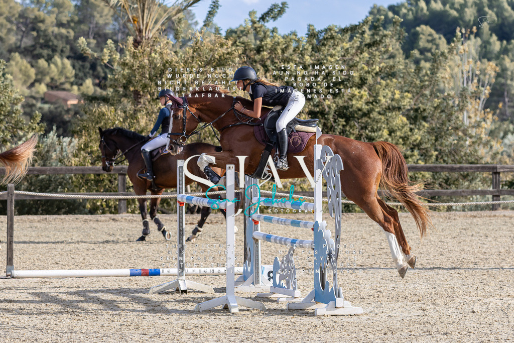 IMG_0203 | s-jay-photography - Realisiert mit Pictrs.com