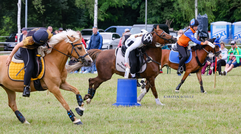 1B3A1371 | Reitsport Reiten