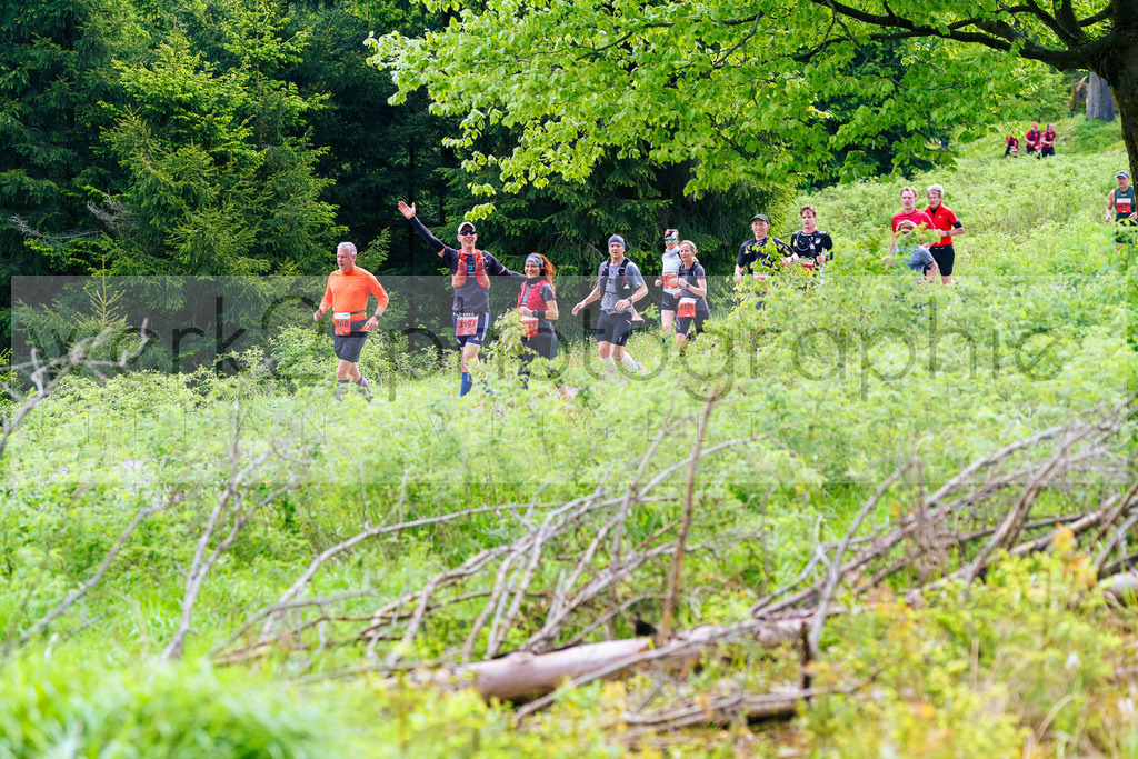 Rennsteiglauf Marathon 2025 | Marathon von Neuhaus/Rwg. nach Schmiedefeld/Rstg. am 17. Mai 2025