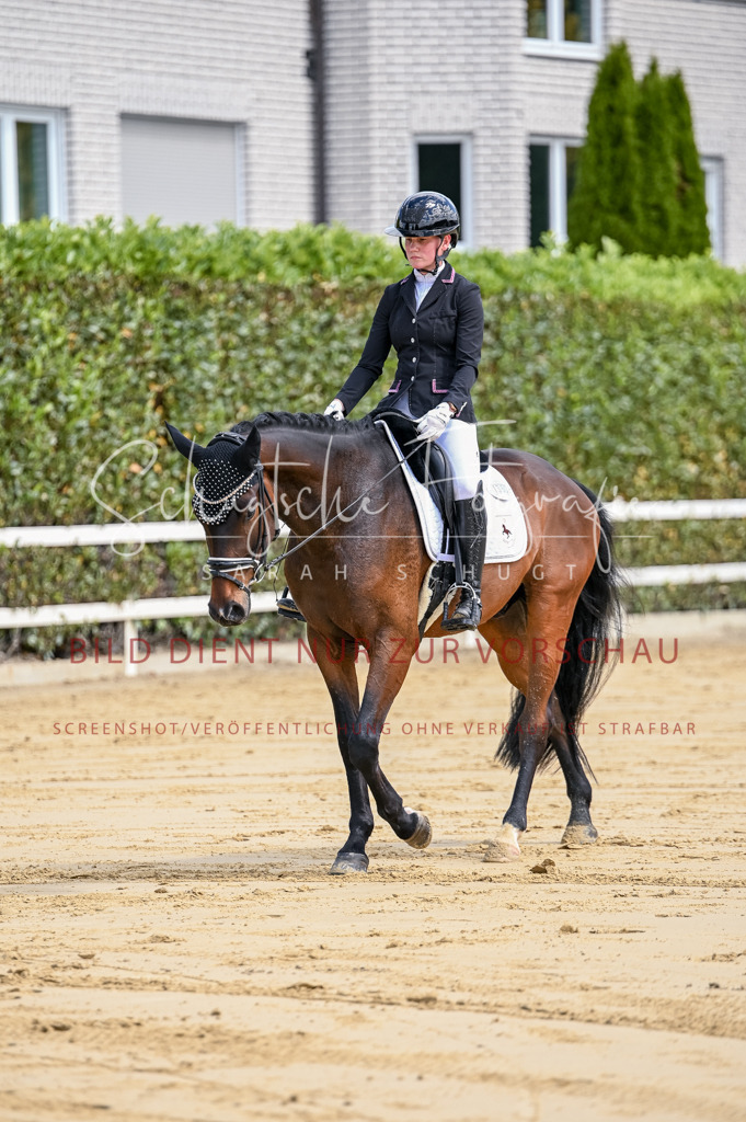 Schugtsche-Aluta25-48.Reitpferfdeprf.-59 | Schugtsche Fotografie - Realisiert mit Pictrs.com