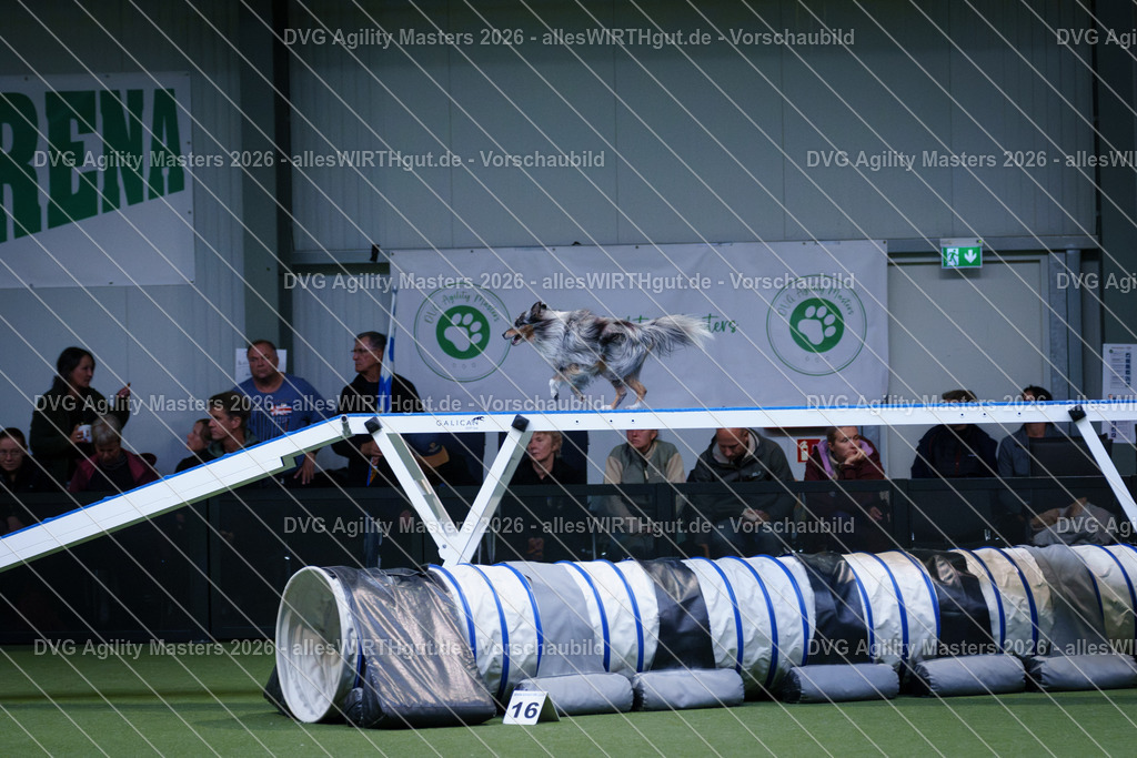 allesWIRTHgut_Tierfotografie-DVG_Agility_Masters_2026-13_22-7R503068 | Professionelle Tierfotografie in Mönchengladbach von Daniel Wirth (allesWIRTHgut). Liebevolle & natürliche Bilder von Hunden & Katzen für unvergessliche Erinnerungen.