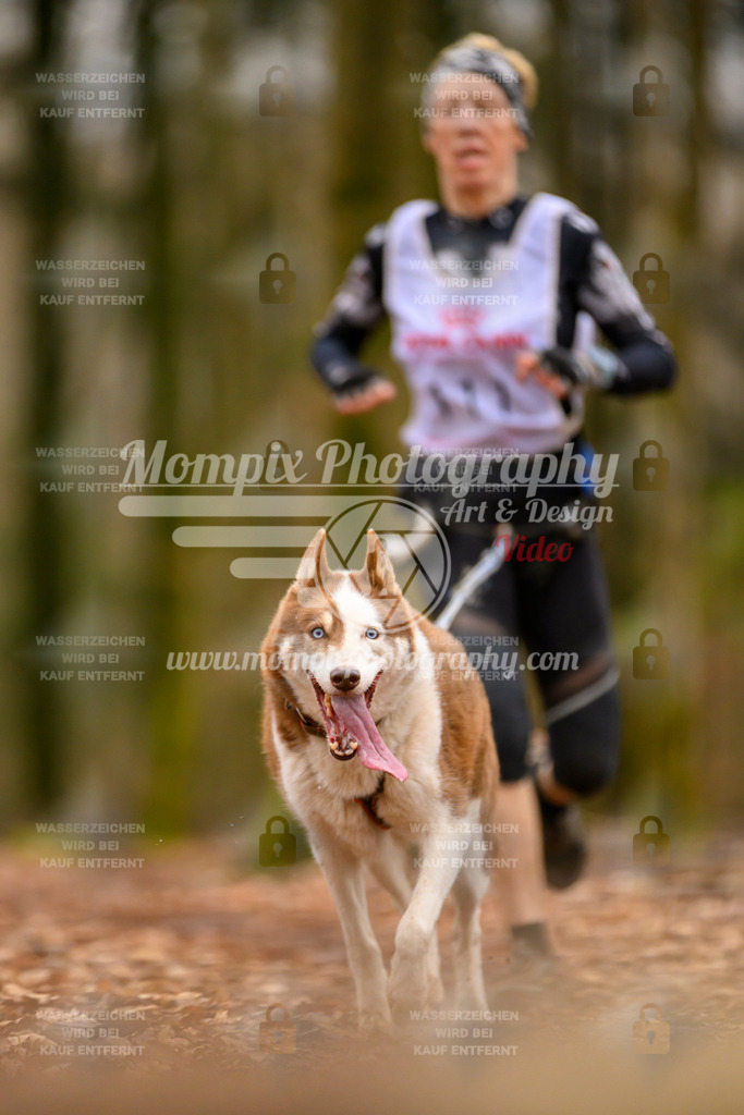 MompixPhotography_Habay2024_SA_Fun-39 | PayLife