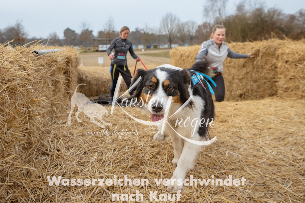 0900_ZZ95947 | kk-dogfotos