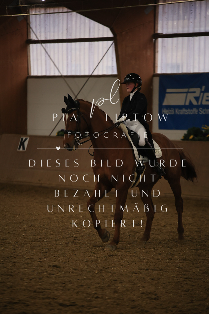 IMGT6385 | pl-fotografie