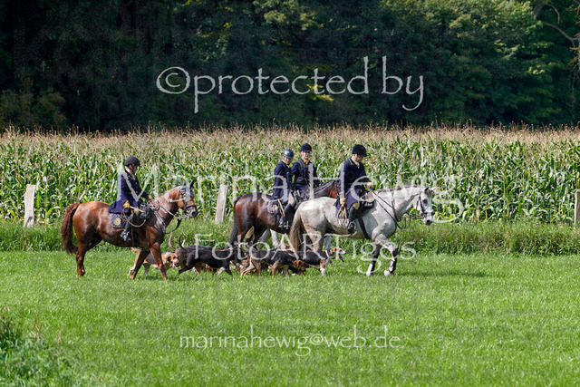 08-23 Bredeneek Jagd_MCH9507_Marina Hewig | Fotografie, FotoArt, PferdesportArt, Pferdesportfotografie, Landschaftsfotografie, Reisefotografie, Reise, Pferde - Realisiert mit Pictrs.com