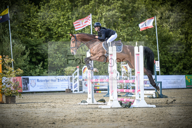 DOS_9151 | Entdecke hochwertige Reitturnierfotos von Foto Oger. Professionell, emotional und authentisch – jetzt Lieblingsmomente im Shop bestellen. - Realized with Pictrs.com