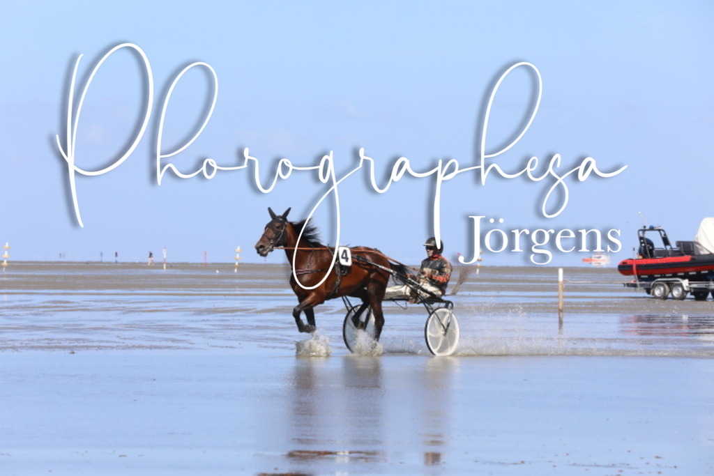 IMG_9505 | photographesa-joergens - Realisiert mit Pictrs.com