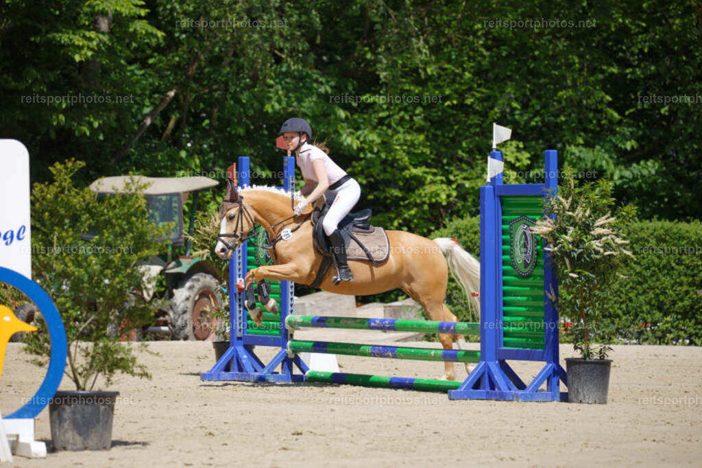 JHE_6864 | JoYa Fotografie - Realisiert mit Pictrs.com