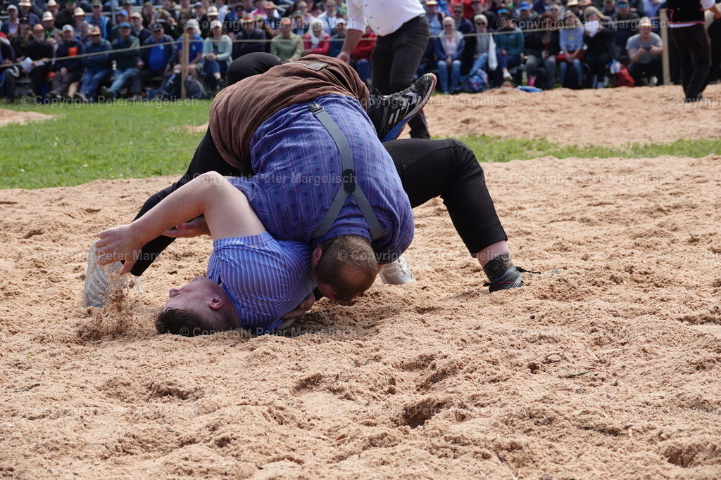 DSC00982 | Schwingen - Realisiert mit Pictrs.com