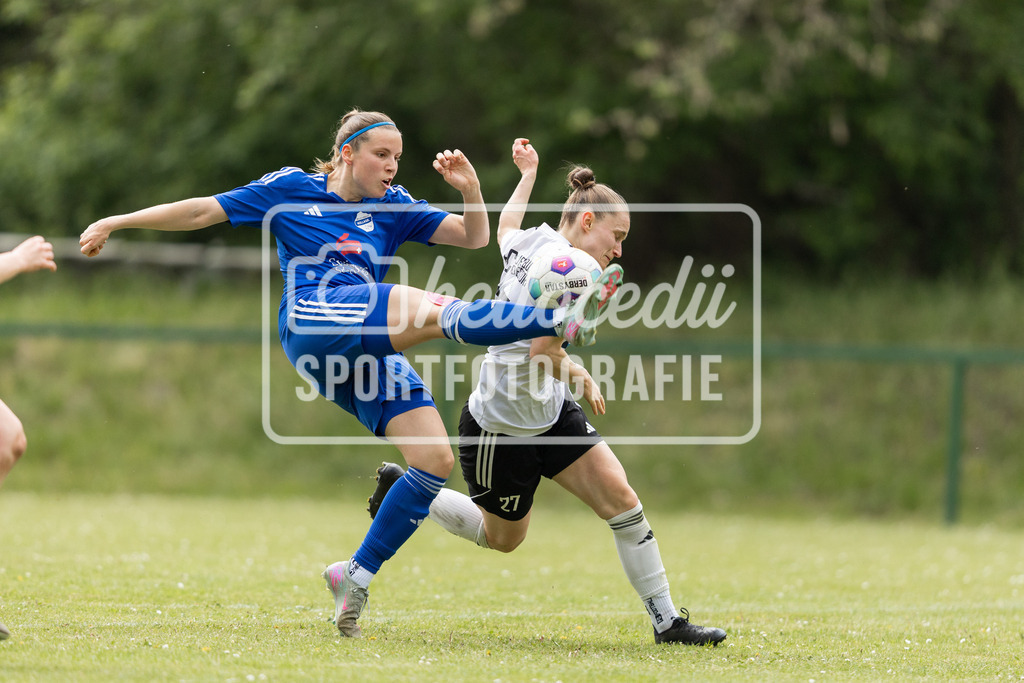 Fußball I Frauen I Saison 2025-2026 I Oberliga Niedersachsen I FC Jesteburg-Bendestorf - BW Hollage I 12753 | realhellocedii - Realisiert mit Pictrs.com