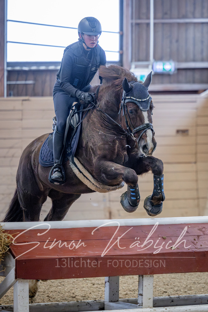 20260221-_3LI8690 | Tierfotografie Pferde, Hunde, Katzen, Haustiere.
Turnierfotografie Reitturniere, Reiten, Springreiten, Dressur in Hanau, dem Main-Kinzig-Kreis und dem Rhein-Main- Gebiet um Frankfurt