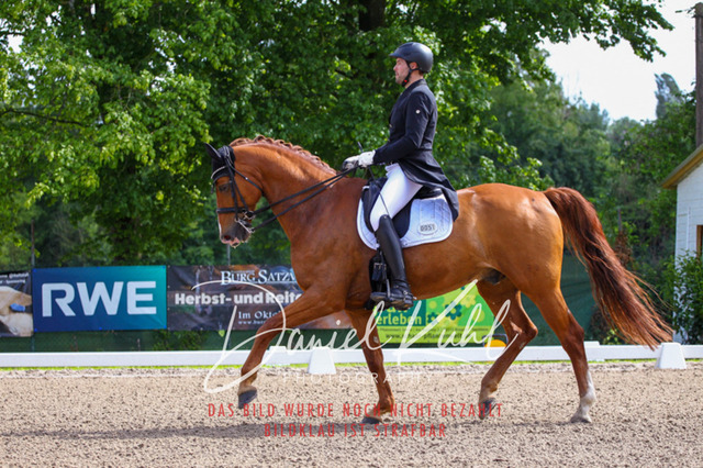 DKP41271 | Deine Turnierfotos vom Reitturnier online kaufen: Dressur, Springen & Siegerehrung. Professionelle Pferdefotografie aus dem Rheinland – als Download & Print.Alternative: Turnierfotograf für den Pferdesport: Finde deine Fotos von Dressur- und Springturnier