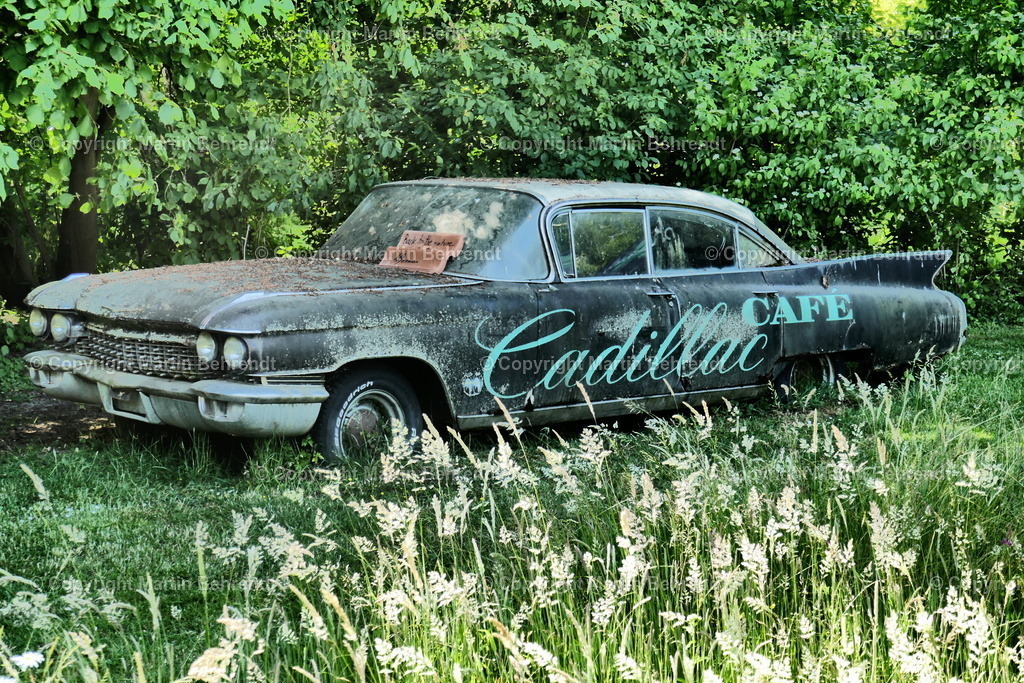 P1020265 | www.photoklick.de - Realisiert mit Pictrs.com