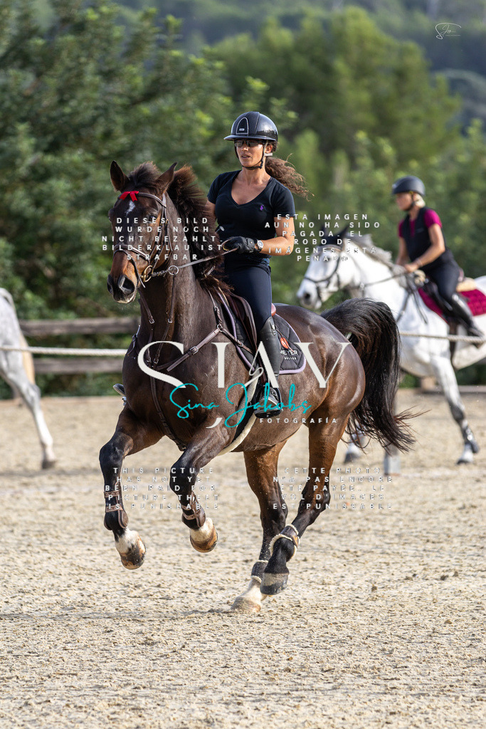 IMG_4729 | s-jay-photography - Realisiert mit Pictrs.com