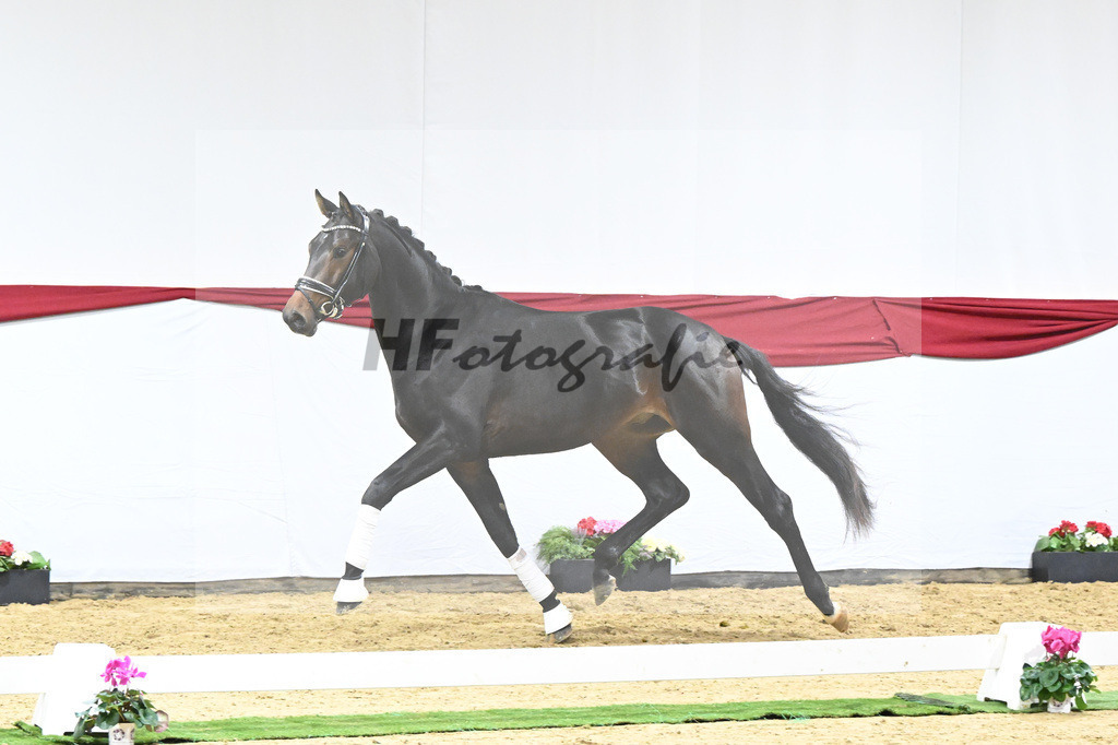 Kat-Nr. 53 v. Marc Cain_van der Raadt_63221490 | hf-fotografie - Realizzato con Pictrs.com