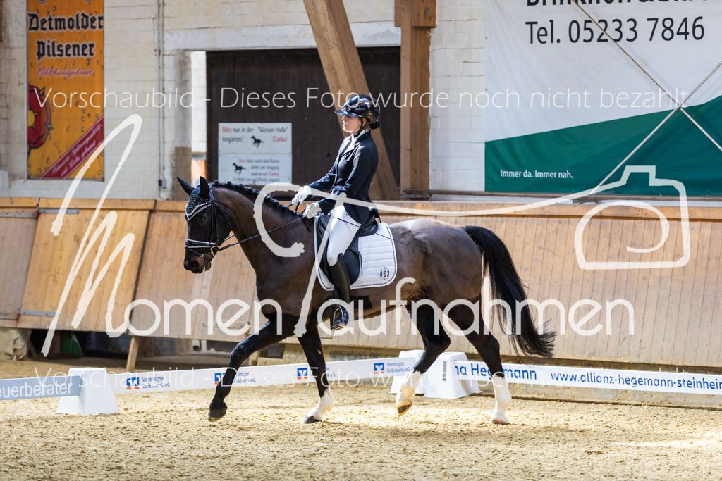 Sth-LPO25-DrR-L-145 | MomenTaufnahmen Pferdesportfotos