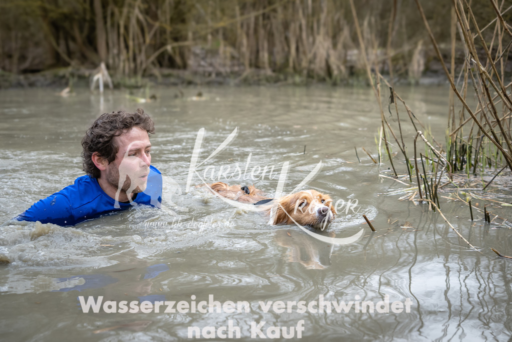 1429_ZZ99168 | kk-dogfotos