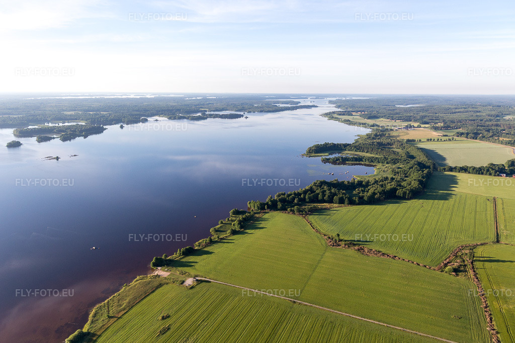 Vue aérienne: Rives du lac Åsnen aux couleurs de lande près de Skatelöv dans le Småland à Grimslöv dans le département Kronobergs län, Suède. Photo: IMG_108091.jpg prise le 28/06/2018 par Werner Riehm/FLY-FOTO.euRésolution de l'original: 5225 x 3483 px