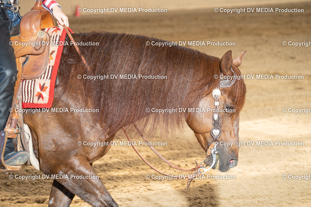 DSC00069 | dv-media-shop - Realisiert mit Pictrs.com