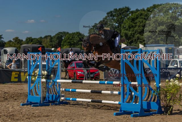 26-8-8 SPR Stil A+ 90cm-227 | mandyhollmannphotographie