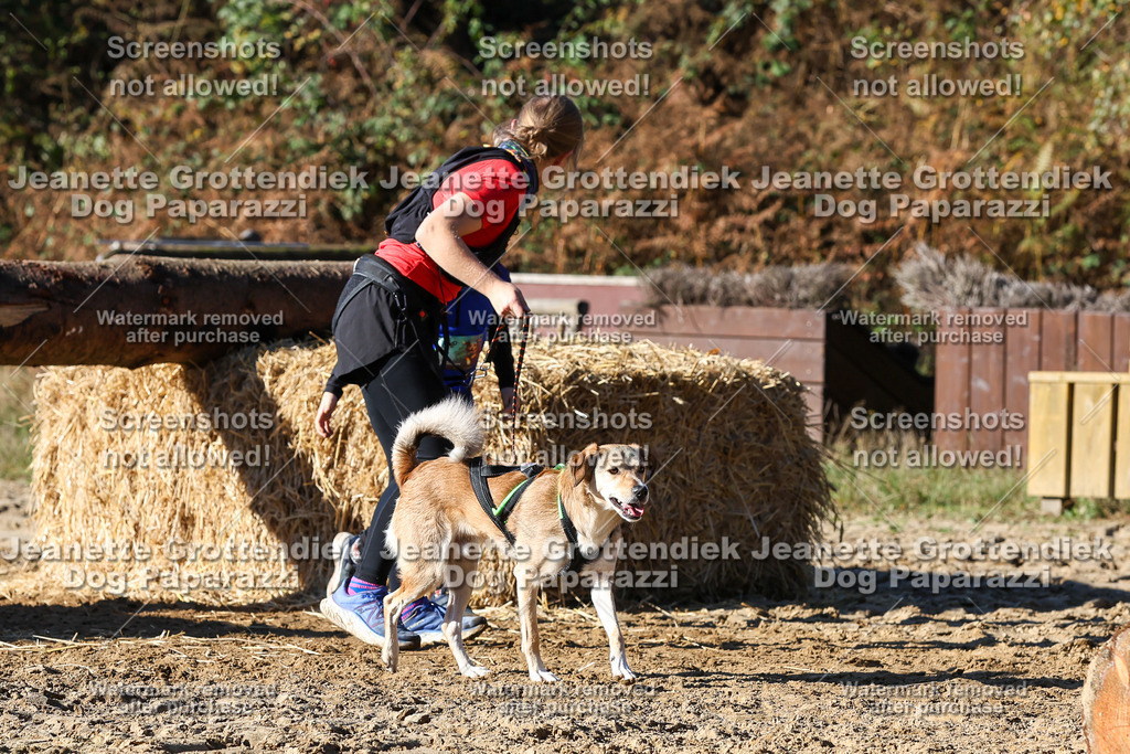 Dog Paparazzi - Strongdog 10-25-2312 | Dog Paparazzi Jeanette Grottendiek Fotografie & Videografie - Realisiert mit Pictrs.com